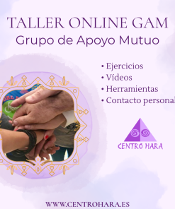 Taller GAM